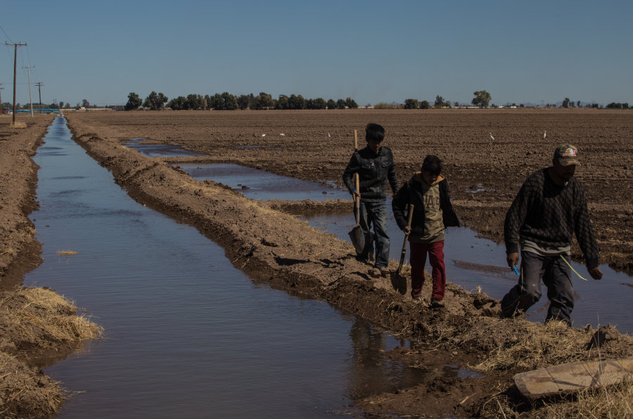 El sinsentido de la explotación del agua del que se acusa a Constellation Brands en una región con sequía extrema (Baja California)