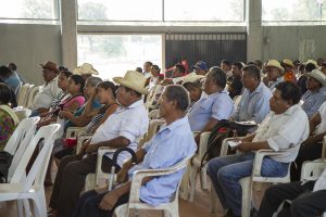 Pueblos de la Chinantla avanzan organización contra megaproyectos (Oaxaca)