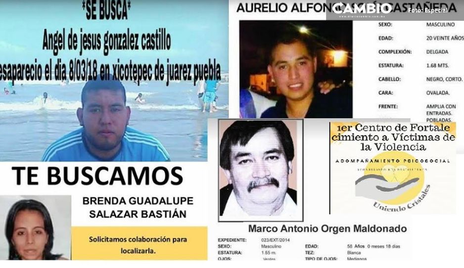 Continúan la incansable búsqueda de familiares desaparecidos en la Sierra Norte (Puebla)
