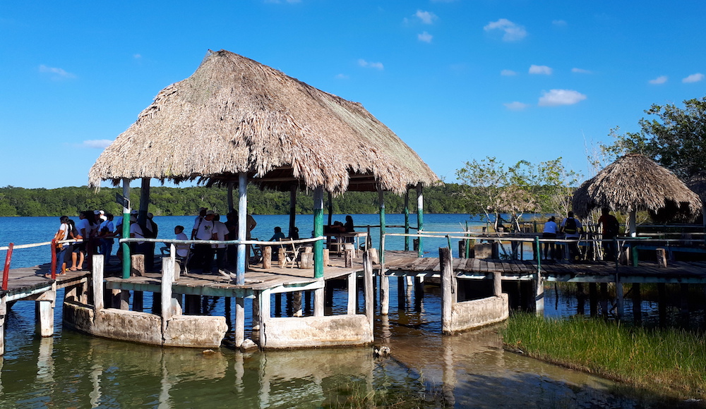 El “área natural protegida” de Dziuché, historia de un despojo de larga planificación (Quintana Roo)