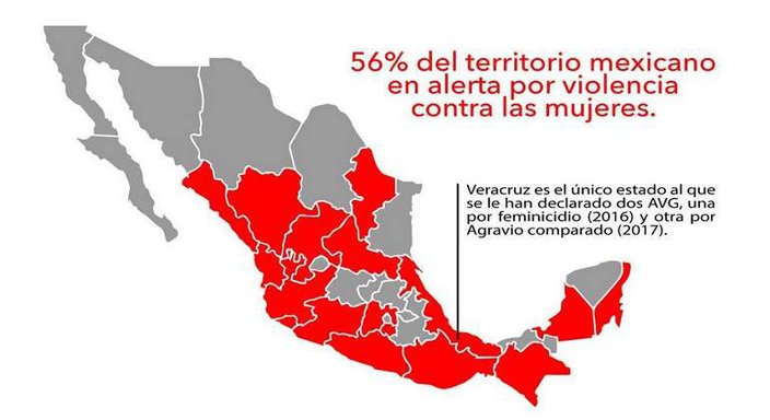 Estrategia contra feminicidios en México está abandonada, denuncia Observatorio Ciudadano