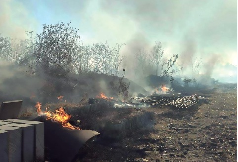 Ecocidio en Huentitán continúa: lo que sobrevivió a la tala, fue quemado (Jalisco)