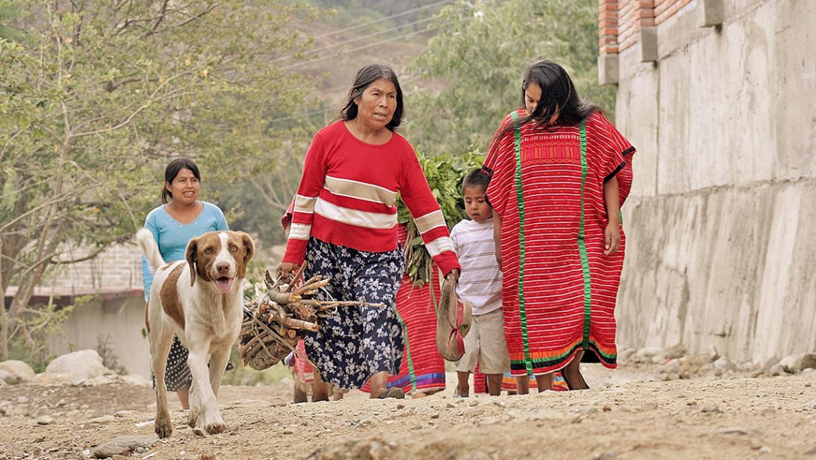 Hay en Oaxaca 2 mil desplazados indígenas