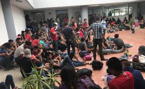 Aseguran tráileres con 287 migrantes en Tamaulipas