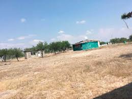 Castiga, otra vez, falta de agua a ejidos de Doctor Arroyo (Nuevo León)