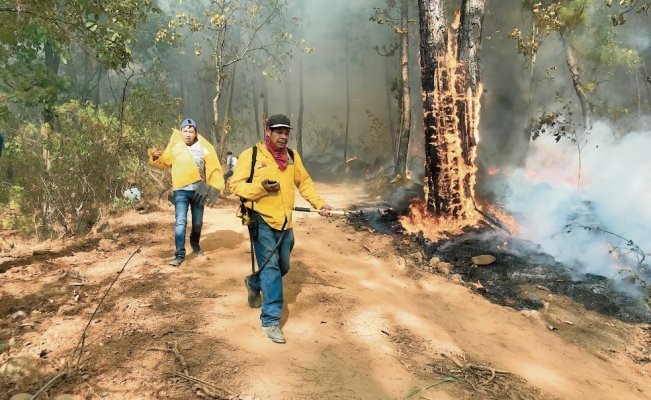 Comuneros, los héroes que con carencias combaten incendios forestales (Michoacán)