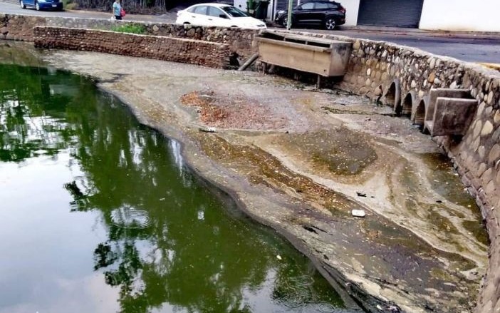 Contaminación causa muerte de peces en laguna Las Ilusiones (Tabasco)