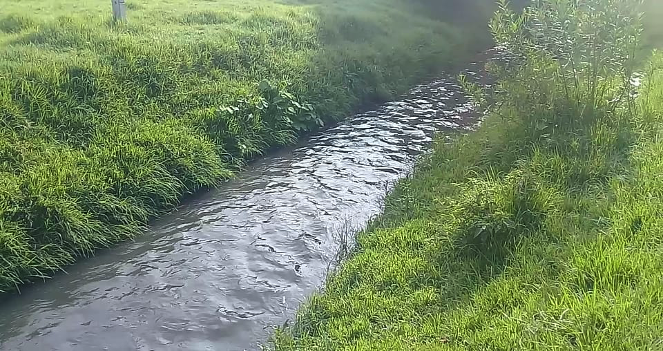 Queserías contaminan río Acotzala, acusa Texmelucan (Puebla)