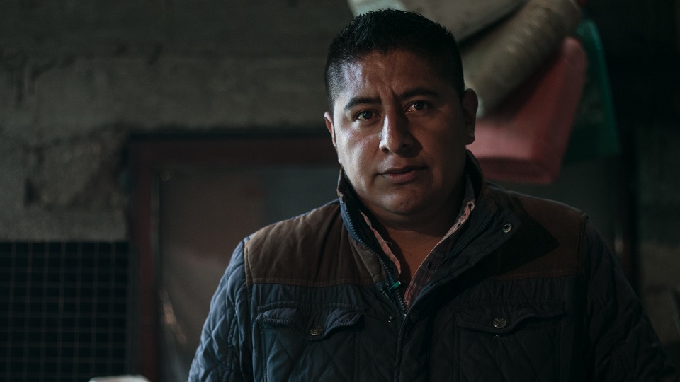 Misael perdió a parte de su familia por defender el bosque y ahora es acusado de tala ilegal (Estado de México)