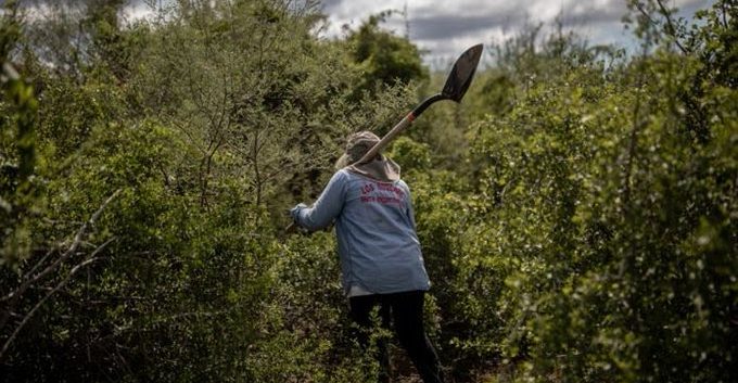 Matan a la activista Zenaida Pulido en carretera de Michoacán