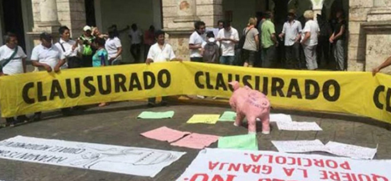 Atrae la SCJN juicio contra granja porcícola en reserva de cenotes de Yucatán