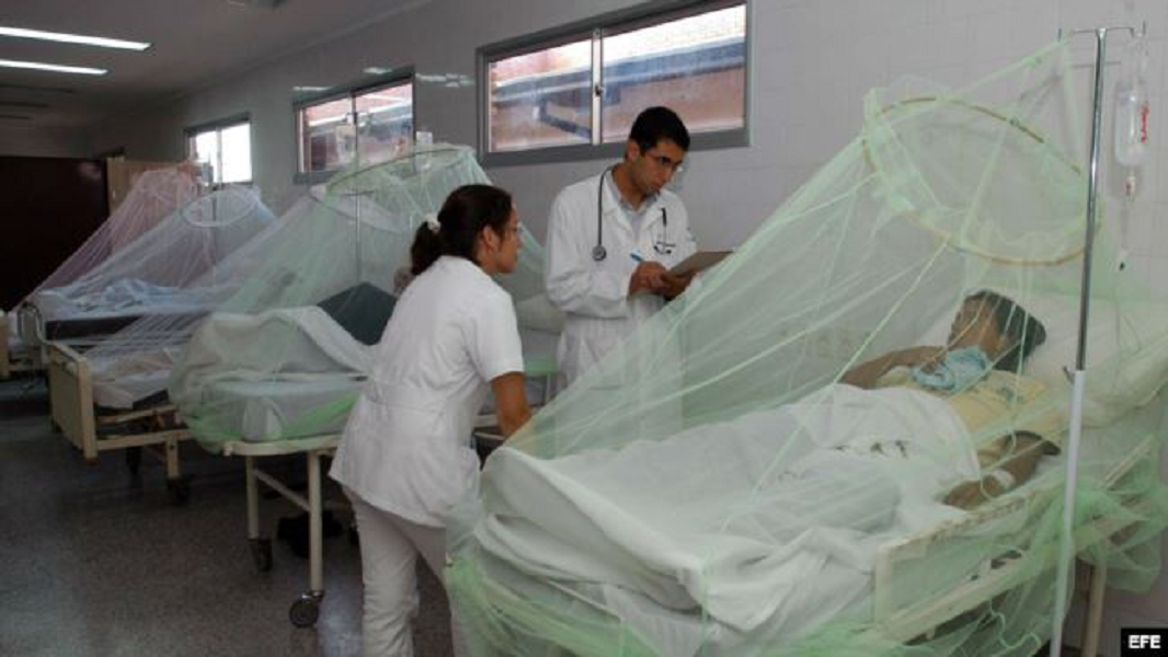 Alerta el dengue: van mil 204 casos en Jalisco y 107 en Puerto Vallarta