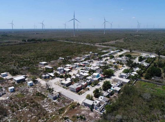 Parques eólicos y solares, un riesgo regional (Yucatán)