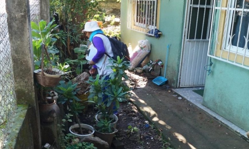 Registran más de cinco mil casos de dengue en Veracruz y desabasto de medicamentos oncológicos
