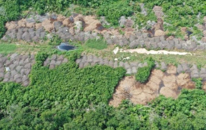 Descubren cerros de excremento afuera de un pueblo maya al poniente de Yucatán