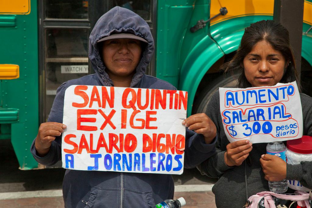 Víctimas del trabajo esclavo en México en su mayoría son jornaleros y jornaleras