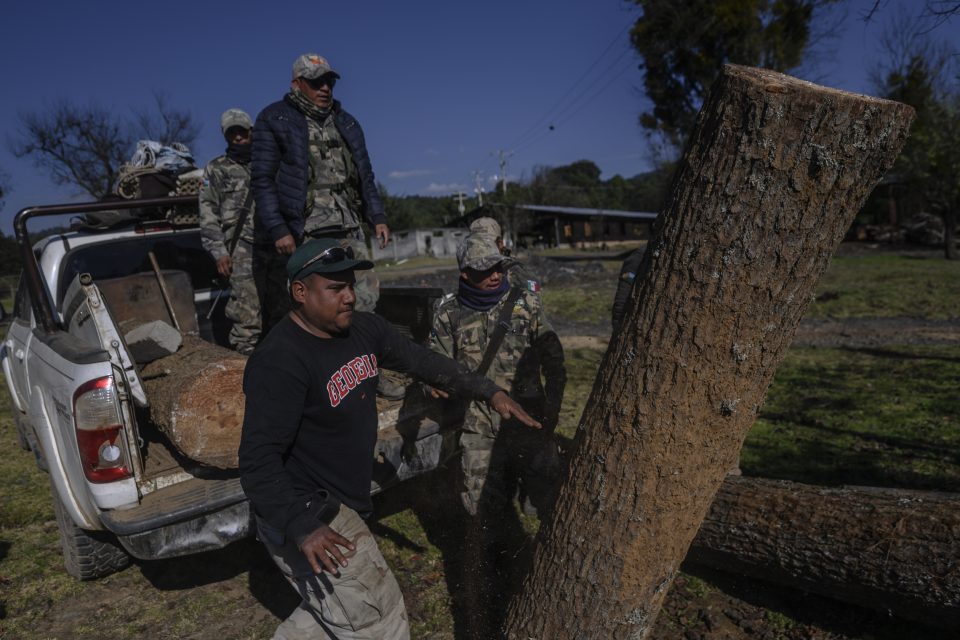 La rebelión ecológica del pueblo de Cherán, Michoacán