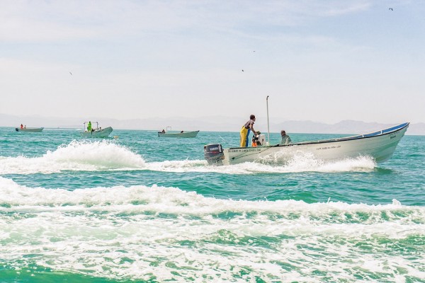 Contaminación ha afectado pesca en Veracruz Puerto