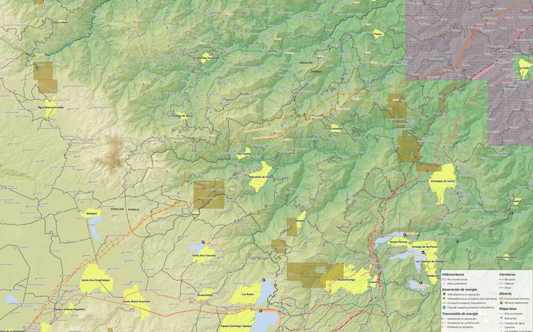 En riesgo bosque de encino en Honey; Minera pide cambio de uso de suelo (Puebla)