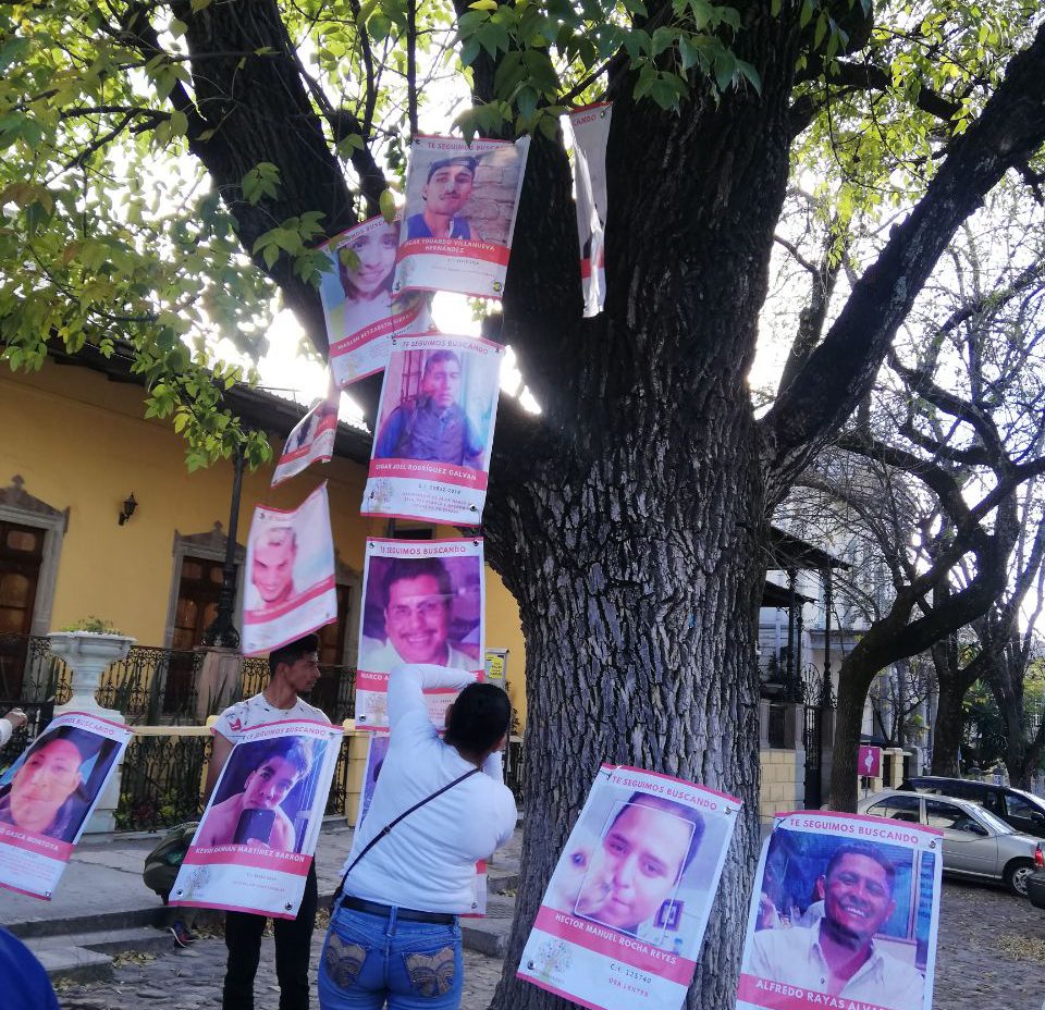 Colectivos de búsqueda de personas no pararán durante contingencia sanitaria (Guanajauato)