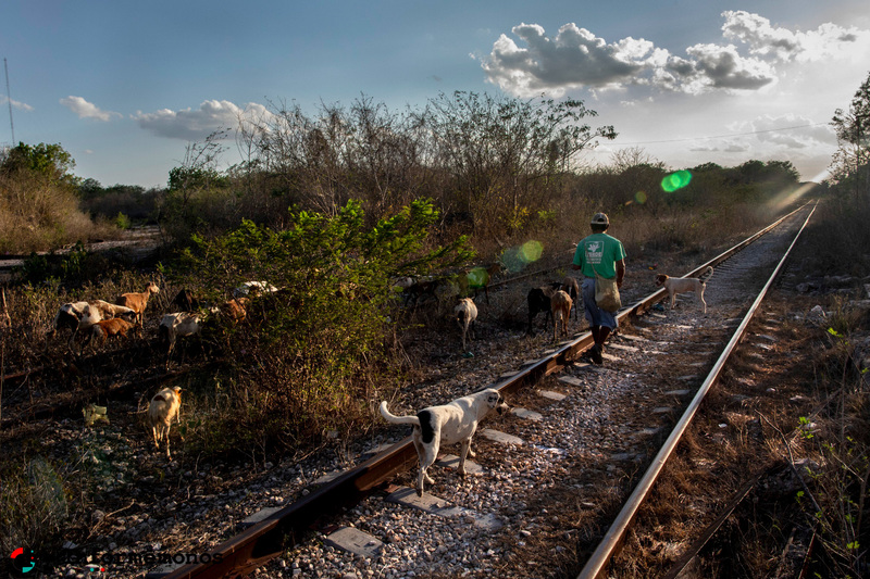 El mal llamado Tren Maya : Acaparamiento multimodal de territorios
