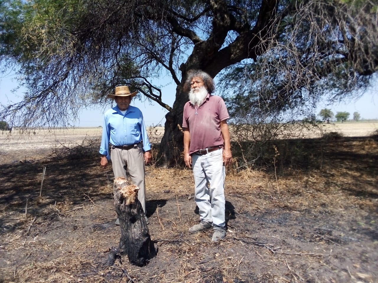 Irapuato: Ecologistas denuncian tala y quema de mezquites en reserva de San Agustín de Tordos