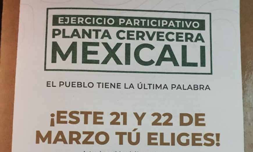 Colectivos afirman que ganaron consulta contra Constellation Brands, pero dejan anuncio a AMLO (Baja California)