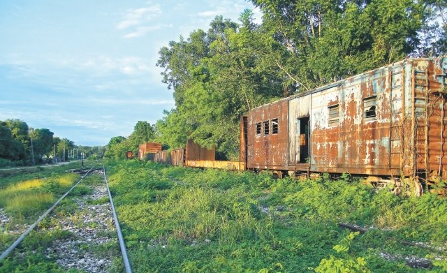 Conacyt ocultó informe crítico con el Tren Maya; ven riesgo