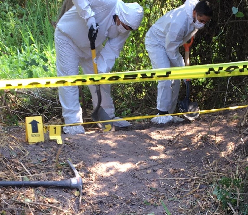 Otra masacre, suman 31 cadáveres encontrados en una limonera en Tecomán (Colima)