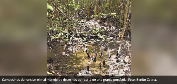 Campesinos de Chapab se niegan a ceder tierras ejidales (Yucatán)