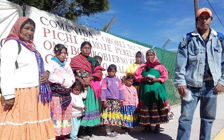 Repechique: los rarámuri que defienden el bosque y su territorio ancestral (Chihuahua)