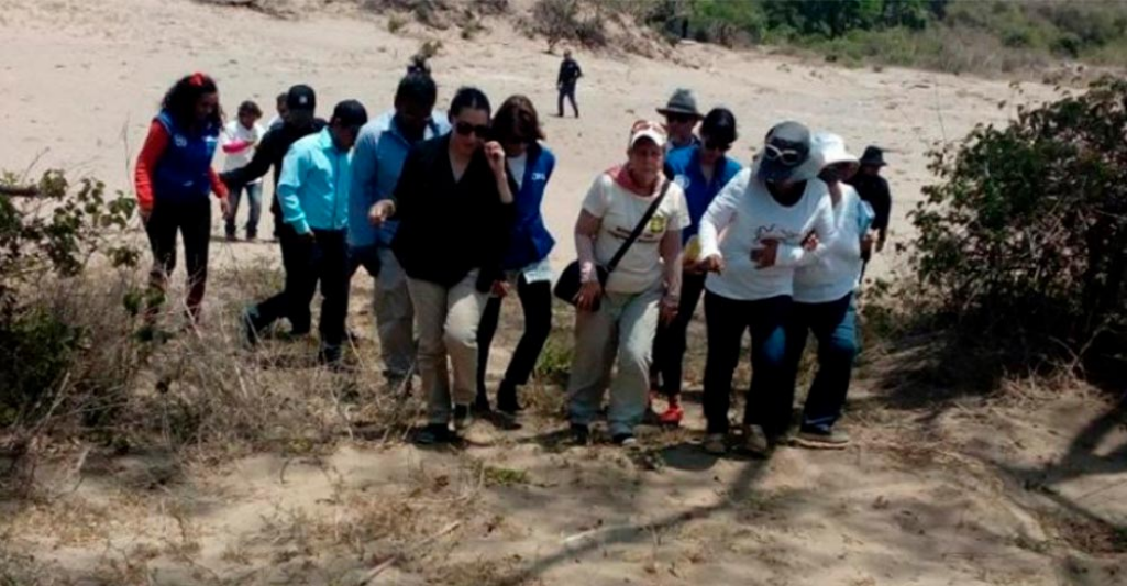 Reinicia búsqueda de personas desaparecidas en Veracruz: Solecito