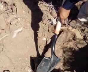 Familias de Siguiendo tus pasos localizan restos humanos en El Roble, Ensenada (Baja California)