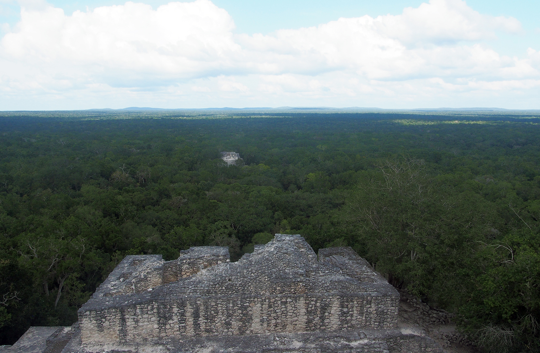 Los rostros (no tan) ocultos del mal llamado tren maya. Parte 6: Agravar un colapso ambiental que ya está ocurriendo.