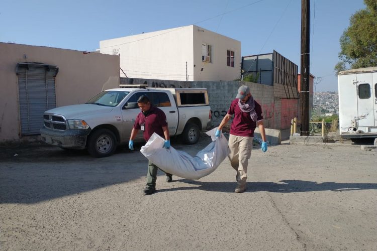 Se siguen descubriendo cadáveres enterrados, siete en la jornada del miércoles 21 (Baja California)