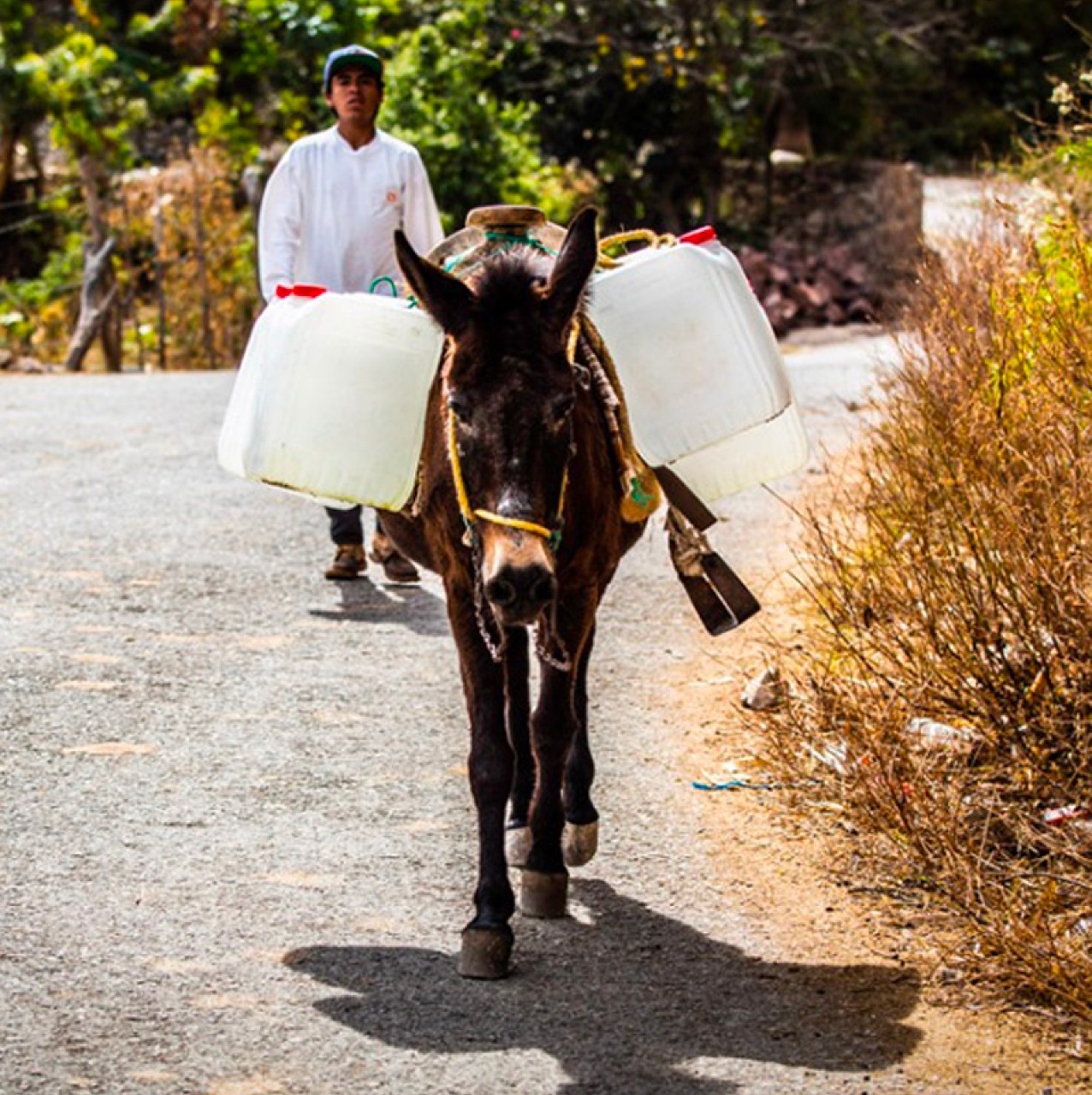 San José Chalmita, la comunidad marginada a la que la CFE le quitó el agua. Parte dos (Estado de México)