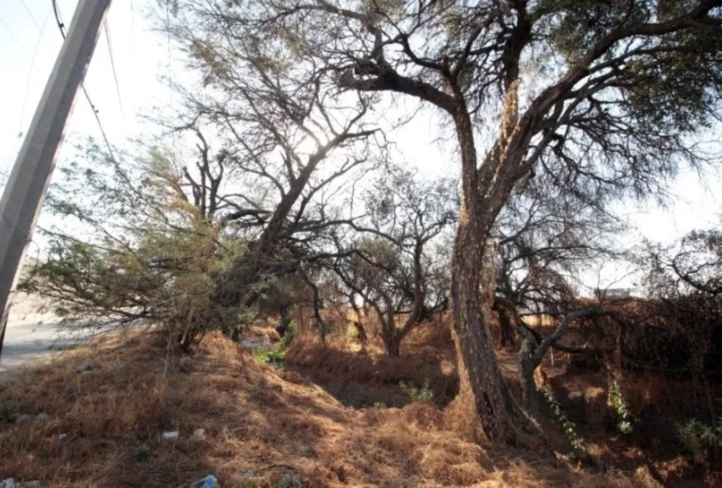 Denuncian a constructora Aldaba por daño ambiental en el arroyo Las Liebres (Guanajuato)