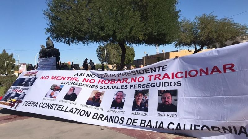 Desmantelamiento de Constellation Brands en Mexicali inicia el 18 de marzo (Baja California)