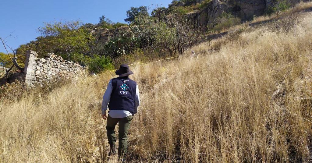 Así fue la búsqueda en un cementerio clandestino de Acámbaro