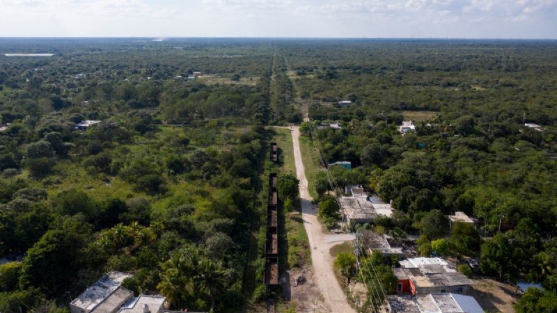 Tres comunidades de Campeche obtienen suspensión provisional contra Tren Maya