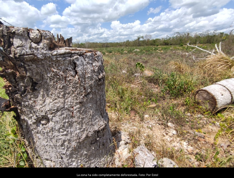 Grupo Xcaret: Ejidatarios acusan de ‘robo’ de tierras por parque temático Xibalbá en Valladolid (Yucatán)