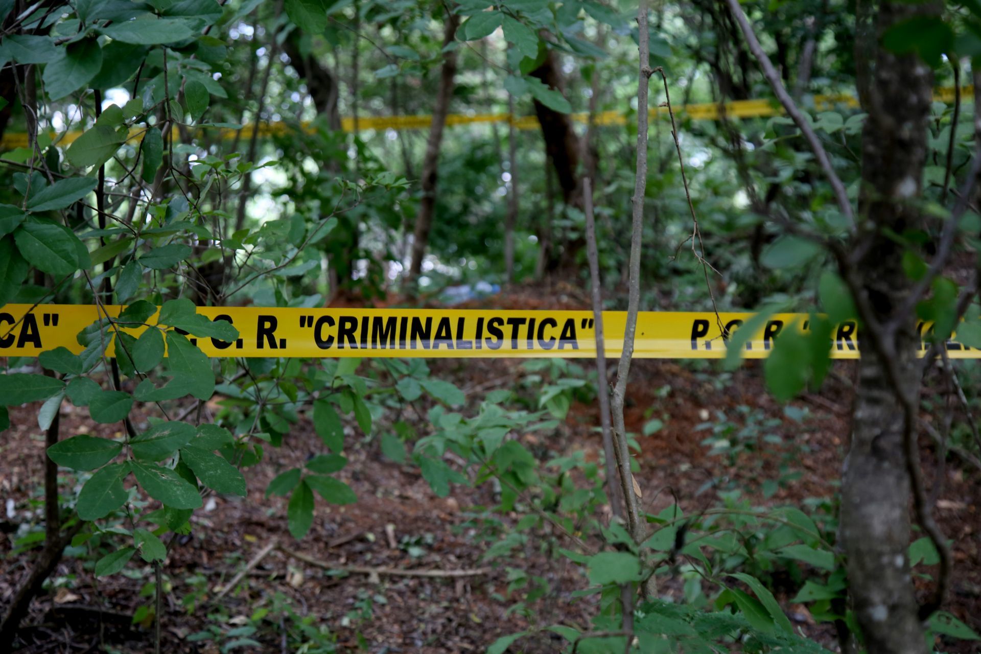 Hallan 22 cuerpos en fosa de Celaya; autoridades esperan encontrar más