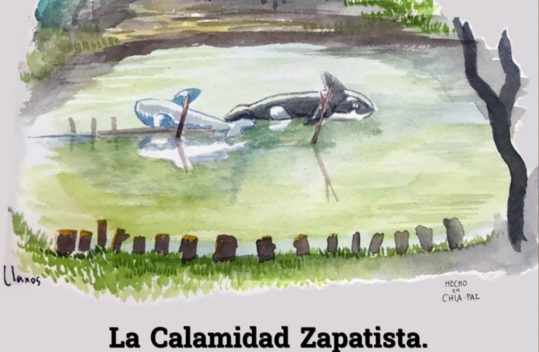 La Calamidad Zapatista.