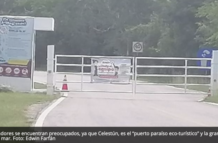 Habitantes de Celestún, Yucatán, firmes en su lucha contra granjas porcícolas de Kekén