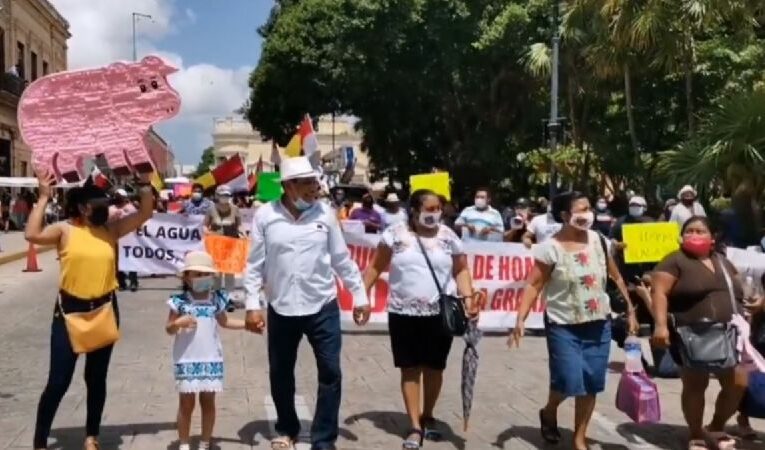 Con marcha, reclaman a Vila Dosal por apoyar a empresa porcina suspendida en Homún (Yucatán)