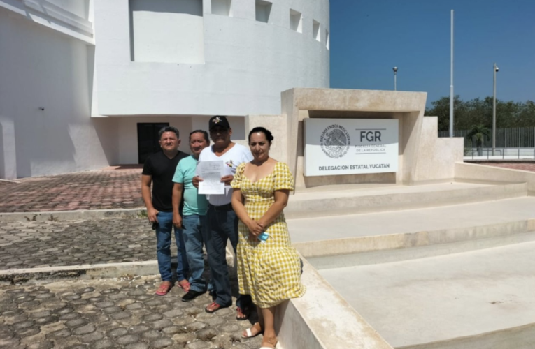Denuncian a PAPO por falsificar documento para reabrir megagranja de cerdos (Yucatán)