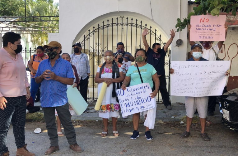 Habitantes de Sitilpech exigen cerrar granjas porcícolas en Yucatán afuera del Poder Judicial