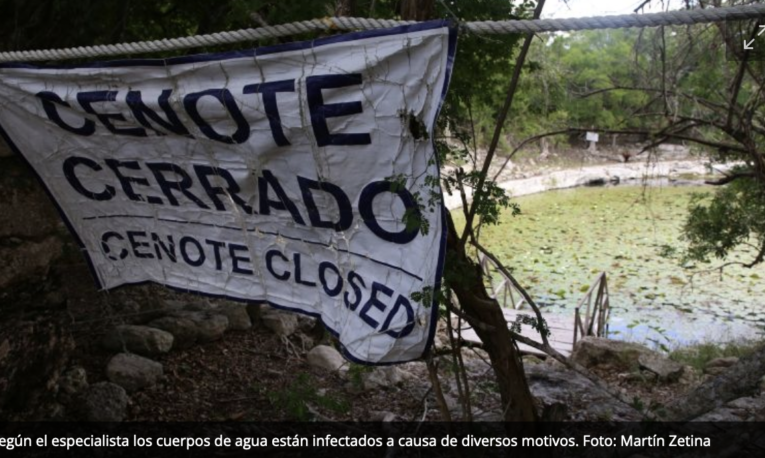 Cenotes de Yucatán ‘agonizan’ por la contaminación de granjas porcícolas y el boom inmobiliario