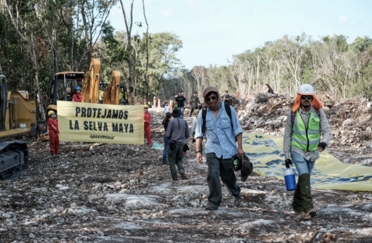 Inician gestiones ante la Unesco para proteger territorios ante el Tren Maya