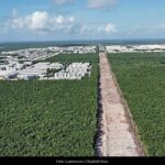 Tren Maya: en marcha lenta, destructiva y onerosa